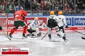 Eishockey_AEV_9240