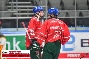 AEV_gegen_ESVK_Eishockey_6414