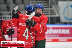 AEV_gegen_ESVK_Eishockey_6465