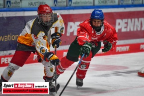 AEV_gegen_ESVK_Eishockey_6482