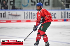 AEV_gegen_ESVK_Eishockey_6487