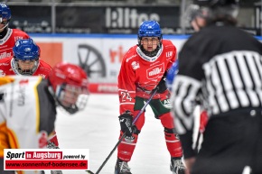 AEV_gegen_ESVK_Eishockey_6531