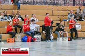 Handball_TSV_Haunstetten__AEV_1087
