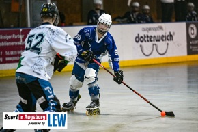 TVA_Skaterhockey_-_Deggendorf_Pflanz__AEV_2070
