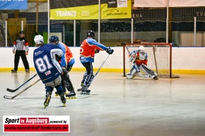 TVA_Skaterhockey_-_Deggendorf_Pflanz__TVA_Skaterhockey_-_Lumberjacks_Ingolstadt__AEV_2522