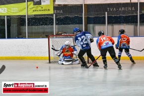 TVA_Skaterhockey_-_Deggendorf_Pflanz__TVA_Skaterhockey_-_Lumberjacks_Ingolstadt__AEV_2598