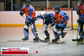 TVA_Skaterhockey_-_Deggendorf_Pflanz__TVA_Skaterhockey_-_Lumberjacks_Ingolstadt__AEV_2632