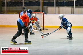 TVA_Skaterhockey_-_Deggendorf_Pflanz__TVA_Skaterhockey_-_Lumberjacks_Ingolstadt__AEV_2647