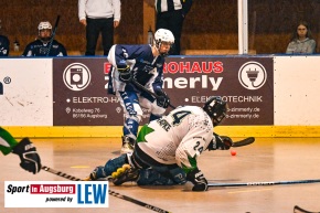 TVA_Skaterhockey_-_Deggendorf_Pflanz__TVA_Skaterhockey_AEV_2012