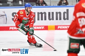 Eishockey_AEV_0765