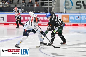 Augsburger_Panther__Eishockey_AEV_5975