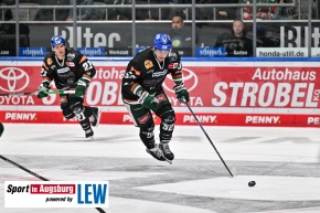 Augsburger_Panther__Eishockey_AEV_6044