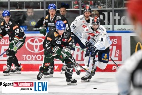 Augsburger_Panther__Eishockey_AEV_6159