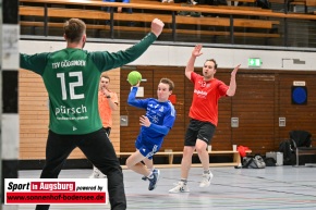Handball__Kissinger_SC_-_TSV_Goeggingen_AEV_7351