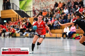 TSV-Haunstetten-TSV-Wolfschlugen-Handball-3.-Liga-SIA_6317