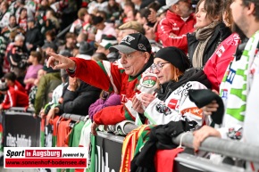 Eishockey_Derbysieger_AEV_6298