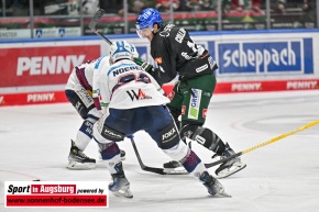 Eisbaeren_Berlin_AEV_9849