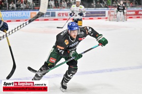 Eishockey_Augsburg_AEV_9594