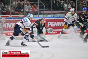 Eishockey_Augsburg_AEV_9611