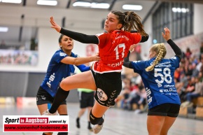 TSV_Haunstetten_Handball_Frauen_0338