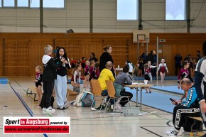 Landkreismeisterschaft-Geraeteturnen-Maedchen-2023-DSC_4441