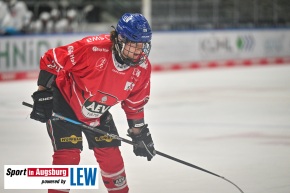DNL_Eishockey_AEV_0409