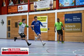 SC_Kissing_-_TSV_Baeumenheim-Handball-Herren-AEV_3457