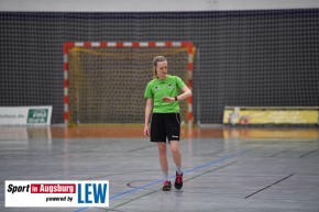 TSV-Haunstetten-II-TSV-Vaterstetten-Handball-Bayernliga-SIA_8938