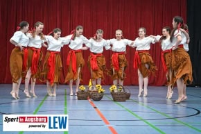 TSV-Dinkelsbuehl-Showdance_5779