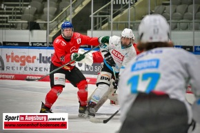 AEV-SC-Bietigheim-DNL-Eishockey_4954