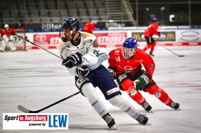 AEV-U20-ERC-Ingolstadt-Deutsche-Nachwuchsliga-Curt-Frenzel-Stadion_3057