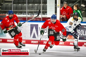 AEV-U20-ERC-Ingolstadt-Deutsche-Nachwuchsliga-Curt-Frenzel-Stadion_3096