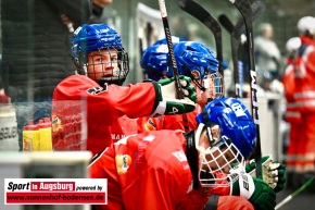 AEV-U20-ERC-Ingolstadt-Deutsche-Nachwuchsliga-Curt-Frenzel-Stadion_3188