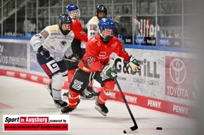 AEV-U20-ERC-Ingolstadt-Deutsche-Nachwuchsliga-Curt-Frenzel-Stadion_3226