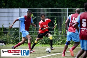 African-Cup-Fussballturnier-TSV-Firnhaberau_DSC_6333