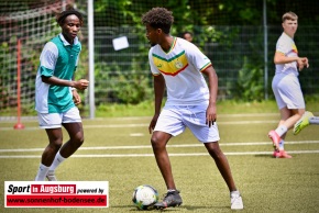 African-Cup-Fussballturnier-TSV-Firnhaberau_DSC_6545