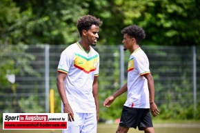 African-Cup-Fussballturnier-TSV-Firnhaberau_DSC_6418