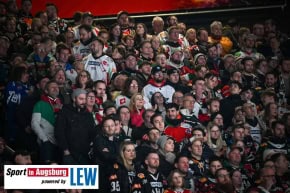 Eishockey_in_Augsburg_AEV_2933