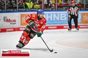 Eishockey_DEL_AEV_8444