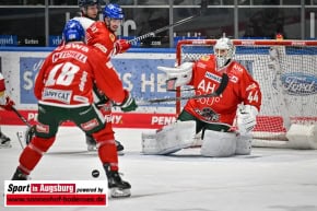 Eishockey_DEL_AEV_8736