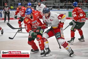 Eishockey_DEL_AEV_8893