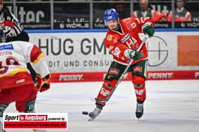 Eishockey_DEL_AEV_8910