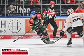 Panther-Grizzlys_Eishockey_AEV_3498