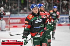 Panther-Grizzlys_Eishockey_AEV_3523