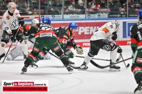 Panther-Grizzlys_Eishockey_AEV_3641