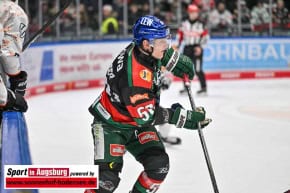 Panther-Grizzlys_Eishockey_AEV_3655