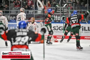 Panther-Grizzlys_Eishockey_AEV_3682