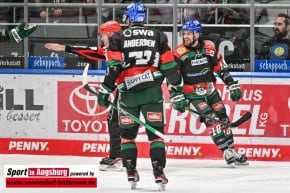 Panther-Grizzlys_Eishockey_AEV_3690