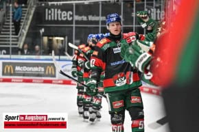 Panther-Grizzlys_Eishockey_AEV_3716