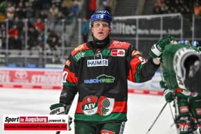 Panther-Grizzlys_Eishockey_AEV_3721